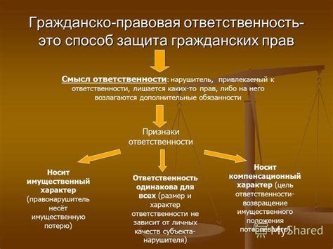  Возможные нарушения гражданских прав при инспекции мобильного устройства на границе 