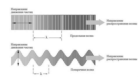  Волны ультразвука и их частоты 