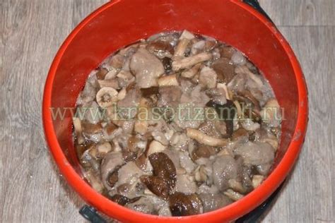  Готовим вкусную икру из запеченных грибов
