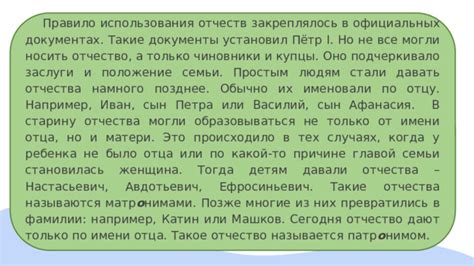  Допустимость пропуска отчества в официальных документах 