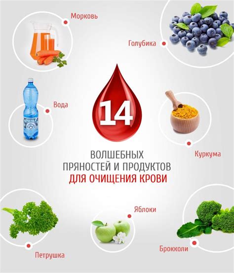  Изучение популярных трав и продуктов для очищения крови 