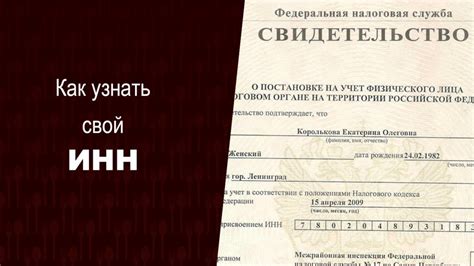  Как применить полученные налоговые идентификационные номера (ИНН)