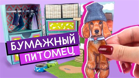  Необходимые атрибуты и материалы для создания прохода для питомца 