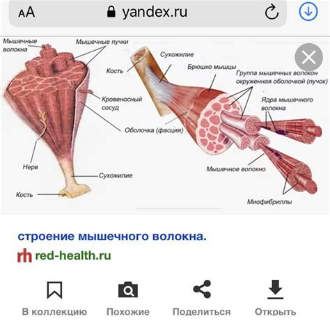  Определите составные части, которые вас интересуют.