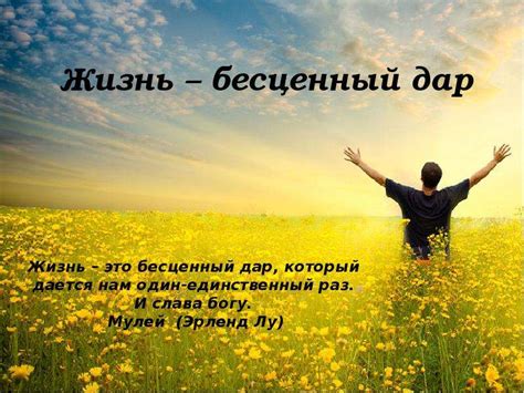  Опыт и мудрость - бесценный дар для развития государства 