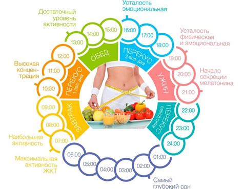  Правильный режим питания и корректное дозирование 