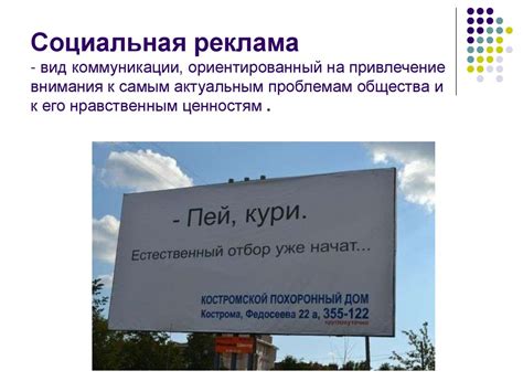 Привлечение внимания к своему поиску: стимулирующий интерес к поиску теряющегося питомца 