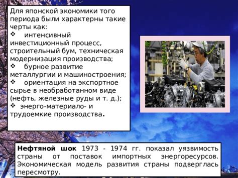  Проблемы с ресурсами и сырьем: уязвимость японской экономики и производства 