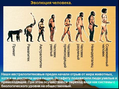  Происхождение и эволюция употребления понятия "ведь" 
