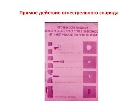  Разнообразие видов огнестрельного снаряда и их применение 