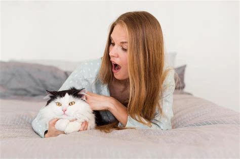 Регулярная игра как средство укрепления привязанности кота к вам 