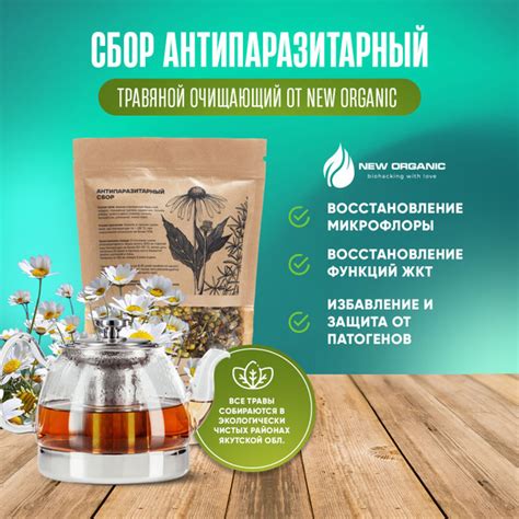  Рекомендации по применению и сочетанию ферментированного меда в выпечке 