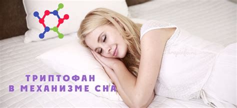  Содержание триптофана и его важная роль в повышении качества сна