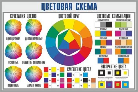 Создание гармоничного композиционного решения: выбор сортов и цветовых сочетаний 
