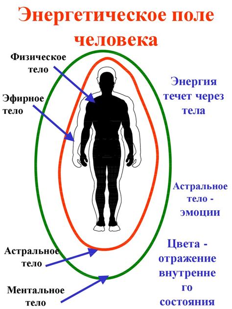  Энергетическое поле человека: сущность и воздействие на нашу жизнь 